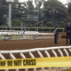 Illustration for article titled Authorities Theorize Santa Anita Race Track Deaths Could Be Work Of Horse Serial Killer